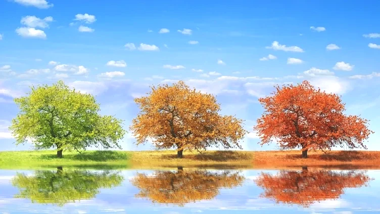 Dünya’nın mevsim haritası yenilendi: Uyumsuzluk sanıldığından büyük