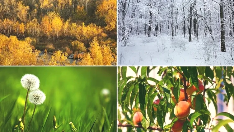 Dünya’nın mevsim haritası yenilendi: Uyumsuzluk sanıldığından büyük