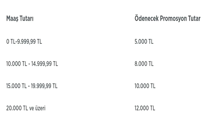 ZİRAAT BANKASI EMEKLİ MAAŞI BANKA PROMOSYONU NE KADAR