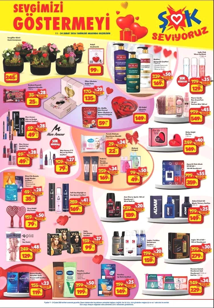 11-24 ŞUBAT ŞOK AKTÜEL ÜRÜNLER KATALOĞU