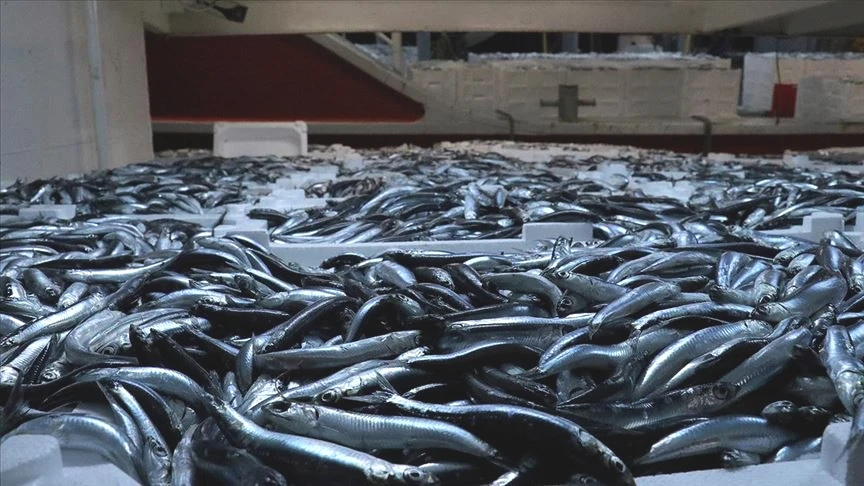 Kırmızı et pahalı gelince tercih değişti; 100 TL’ye 4 kişilik aile doyuyor. - Sayfa 5