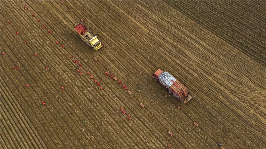 Tarım sezonu zorlu başladı: Yağışlarda dikkat çeken düşüş, gözler önümüzdeki aylarda