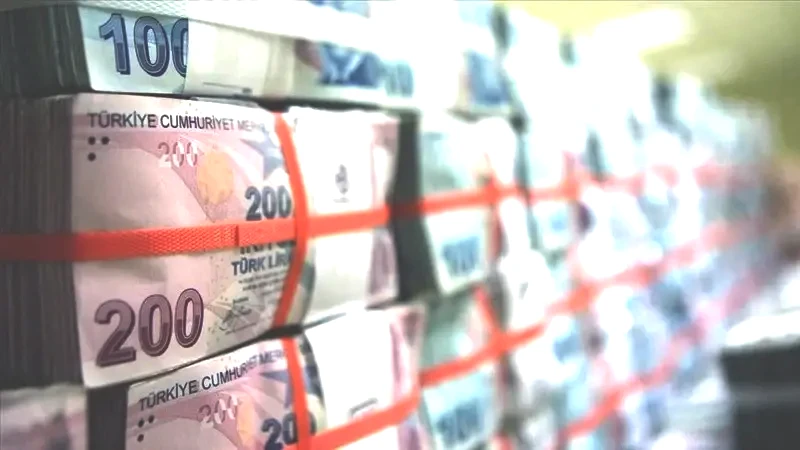 Her ay 2000 TL'ye yakın geliyor! Destek almak isteyenler baksın - Resim: 20