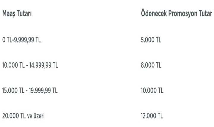 Promosyon başvurularınızı nasıl yapabilirsiniz