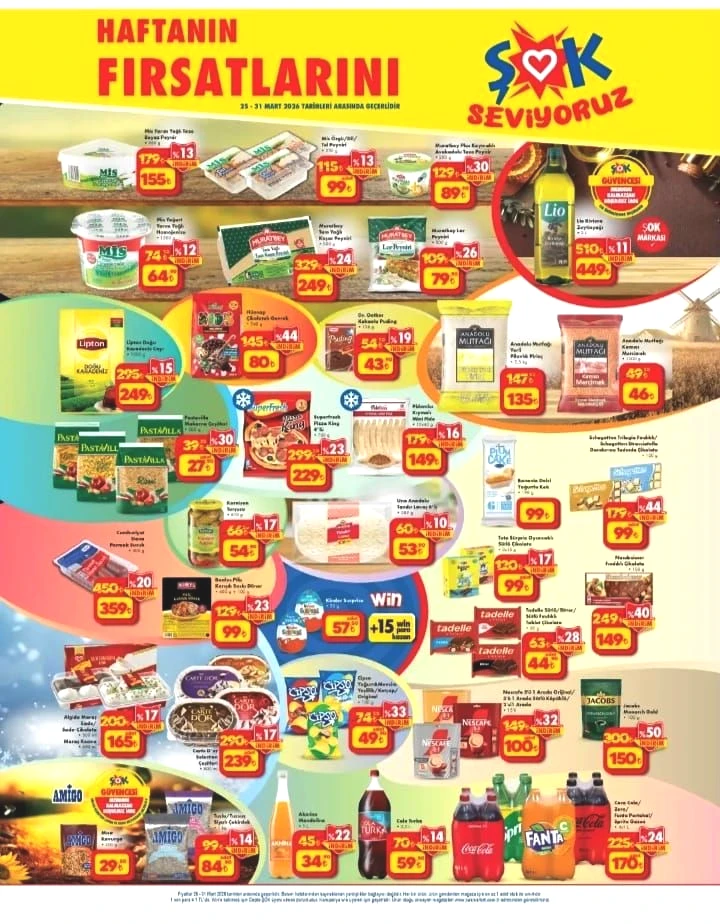 Gözle görülmeyen kirlere elveda: ŞOK’a 25 Mart Çarşamba Buharlı Temizleyici geliyor! - Sayfa 5