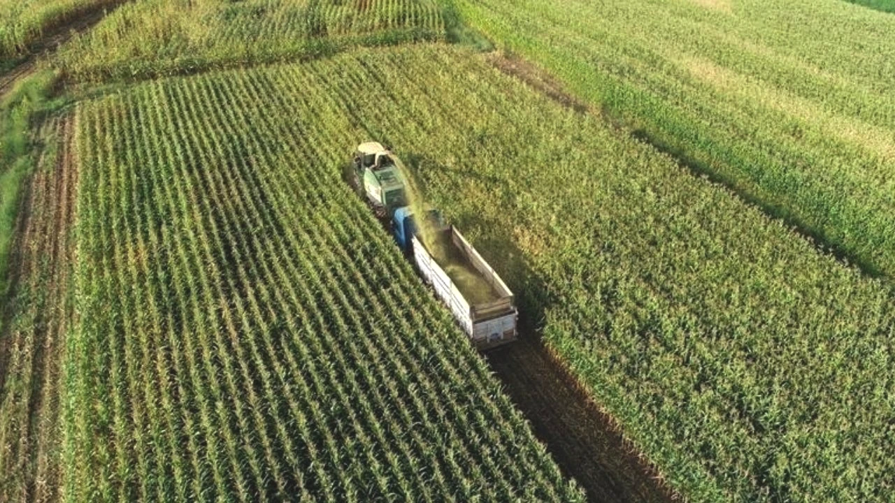 Adsız Tasarım 2026 03 27T165150.811