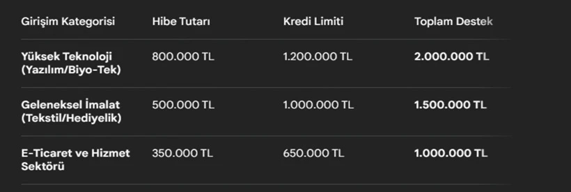 Müjde! 2 Milyon TL'ye Kadar Geri Ödemesiz Devlet Desteği Onaylandı - Resim : 1