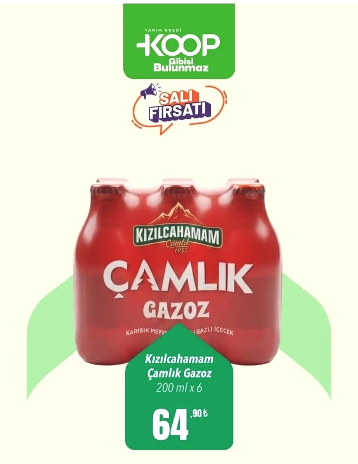 Tarım Kredi'de dev gıda indirimi: Ayçiçek yağı, bakliyat, çay ve peynirde kaçırılmayacak fırsatlar! - Sayfa 3