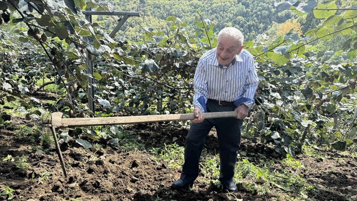 Karadeniz'in Kırılmaz Bağları: Toprakla Bütünleşen Yaşlı Delikanlılar