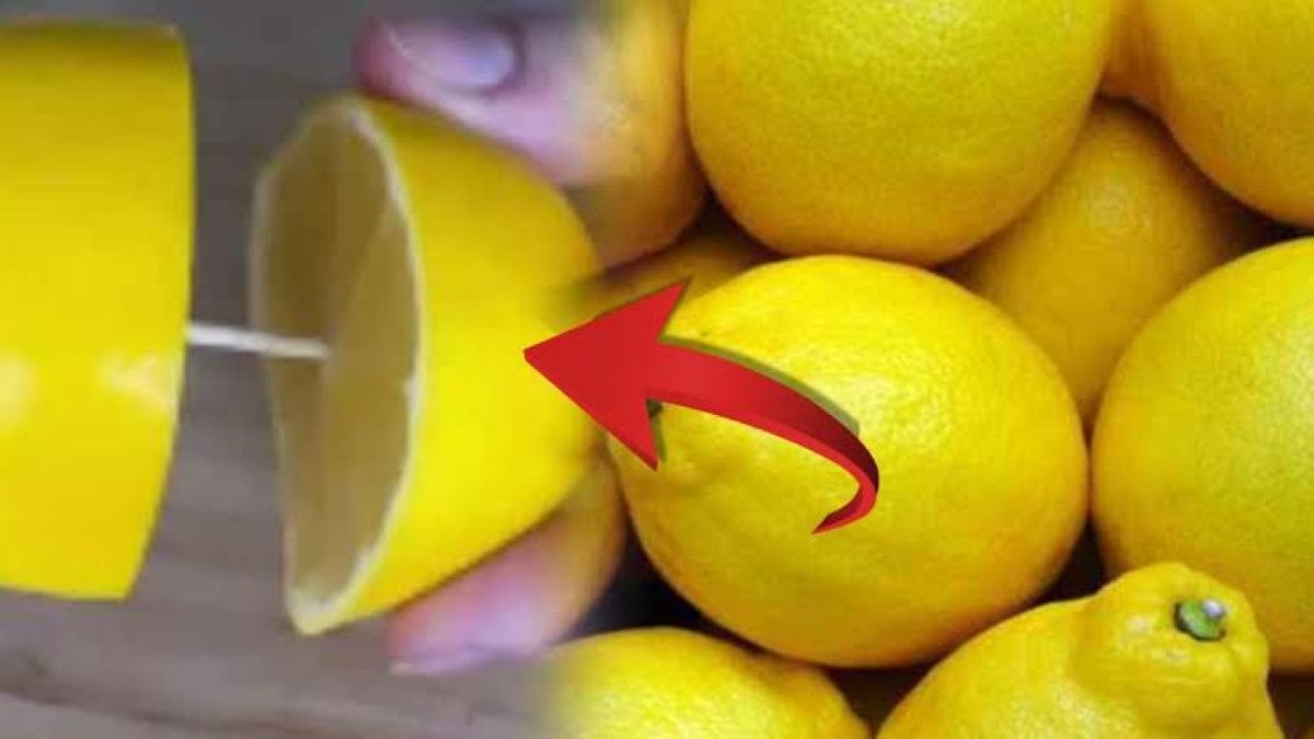 Mersinlilerin Sırrı: Limonları 6 Ay Taze Saklama Yöntemi!