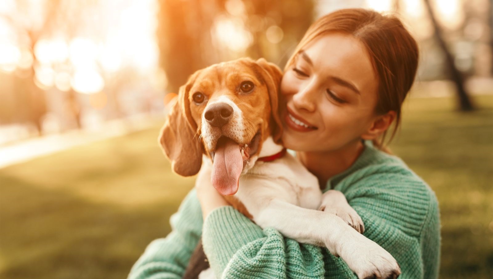 Göz Temasıyla Ortaya Çıkan Beyin Senkronizasyonu: İnsan ve Köpeklerin Gizli Bağlantısı!