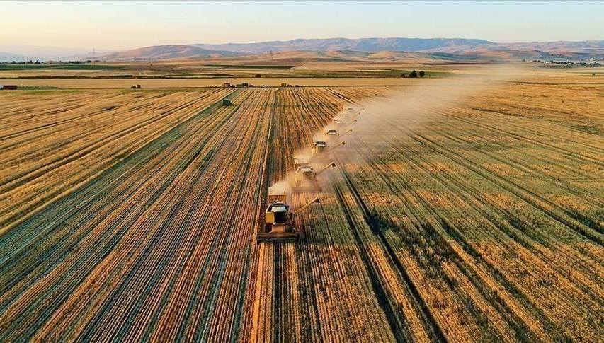 2024 Tarımsal Destek Ödemeleri: Hesaplar Ne Zaman Canlanacak? Miktarlar Açıklandı mı?